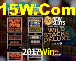Programa VIP 2017Win